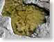 SPlifeformsInPool.jpg water Still Life Photos stones rocks texas photography algae