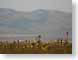 SPshadowsOnHills.jpg cactus desert Landscapes - Rural photography