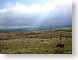 SPupperLevelUtah.jpg Sky clouds grass Landscapes - Rural green photography