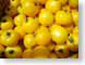 SSyellowTomatoes.jpg Still Life Photos closeup close up macro zoom photography