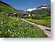 THswissMoutain.jpg key lime green keylime Flora - Flower Blossoms nature snow white village Landscapes - Rural