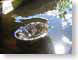 TMUdrain.jpg water reflections mirrors Still Life Photos sun sol photography