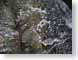 TMUwaterycanvas.jpg Still Life Photos stones rocks closeup close up macro zoom photography