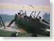 TMyam.jpg Aviation photography bi-plane airplane aircraft