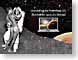 TNmoon.jpg Show some skin space males men man boys beefcake Apple - PowerBook G4
