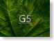 UVg5Leaf.jpg leaves leafs green Apple - PowerMac G5
