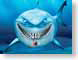 WJLvR01Nemo.jpg Animation Movies disney fish sealife animals ocean water blue pixar Under Water