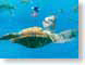 WJLvR04Nemo.jpg Animation Movies disney fish sealife animals ocean water blue pixar Under Water
